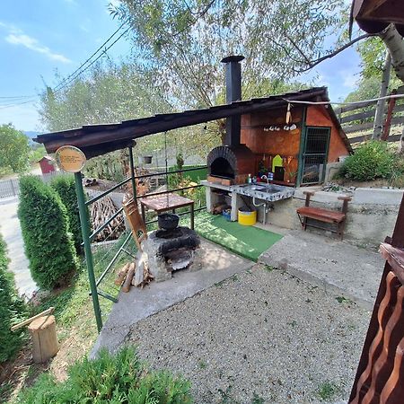 Casa Diana Villa Nucsoara  ภายนอก รูปภาพ